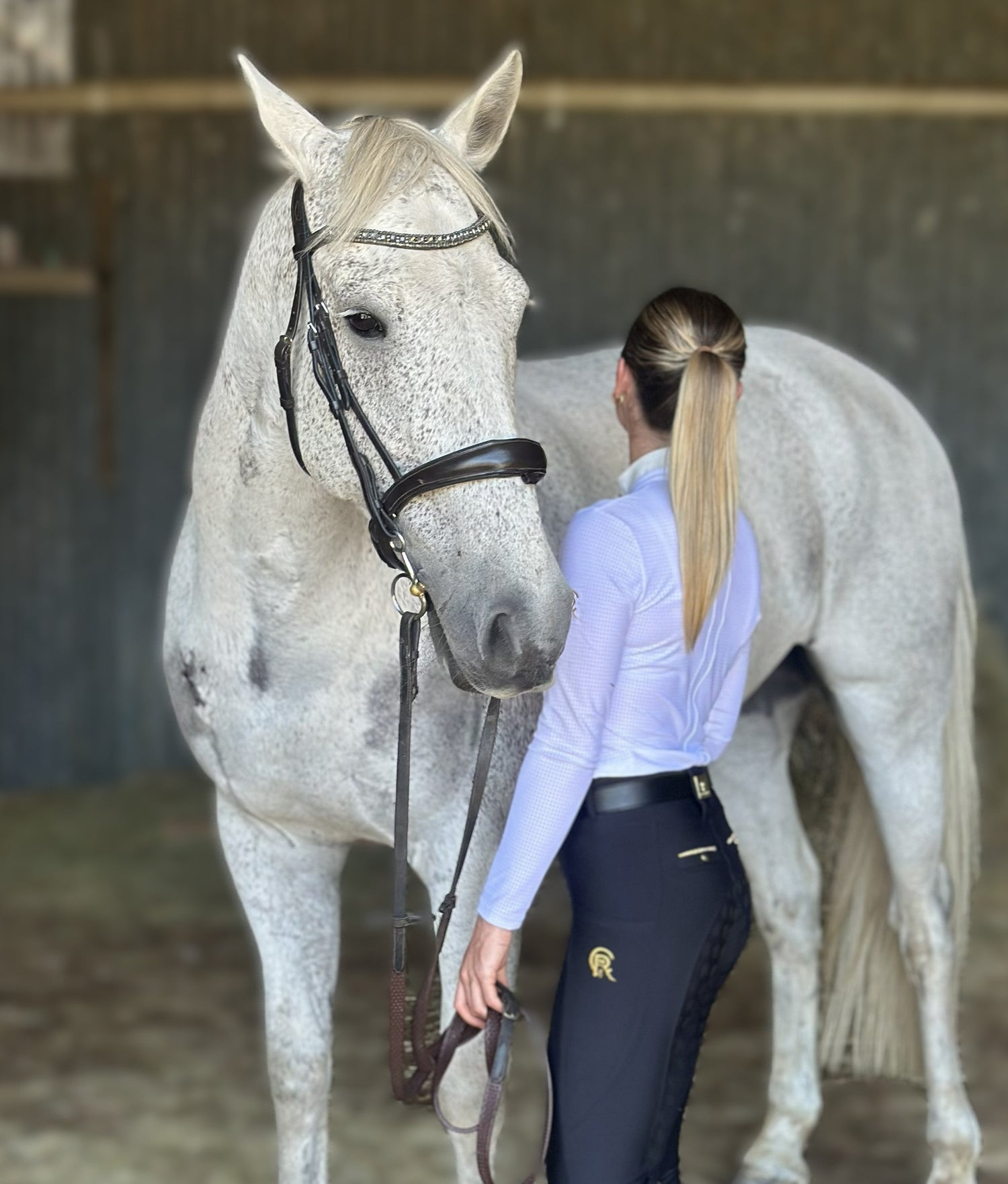 Model Sara in the ice breeze shirt, lux black belt and signature breeches with the grey beauty Archie.